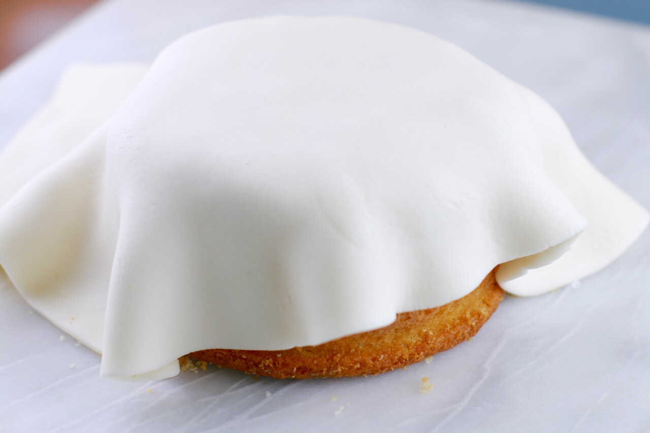 Plastic Icing RTR